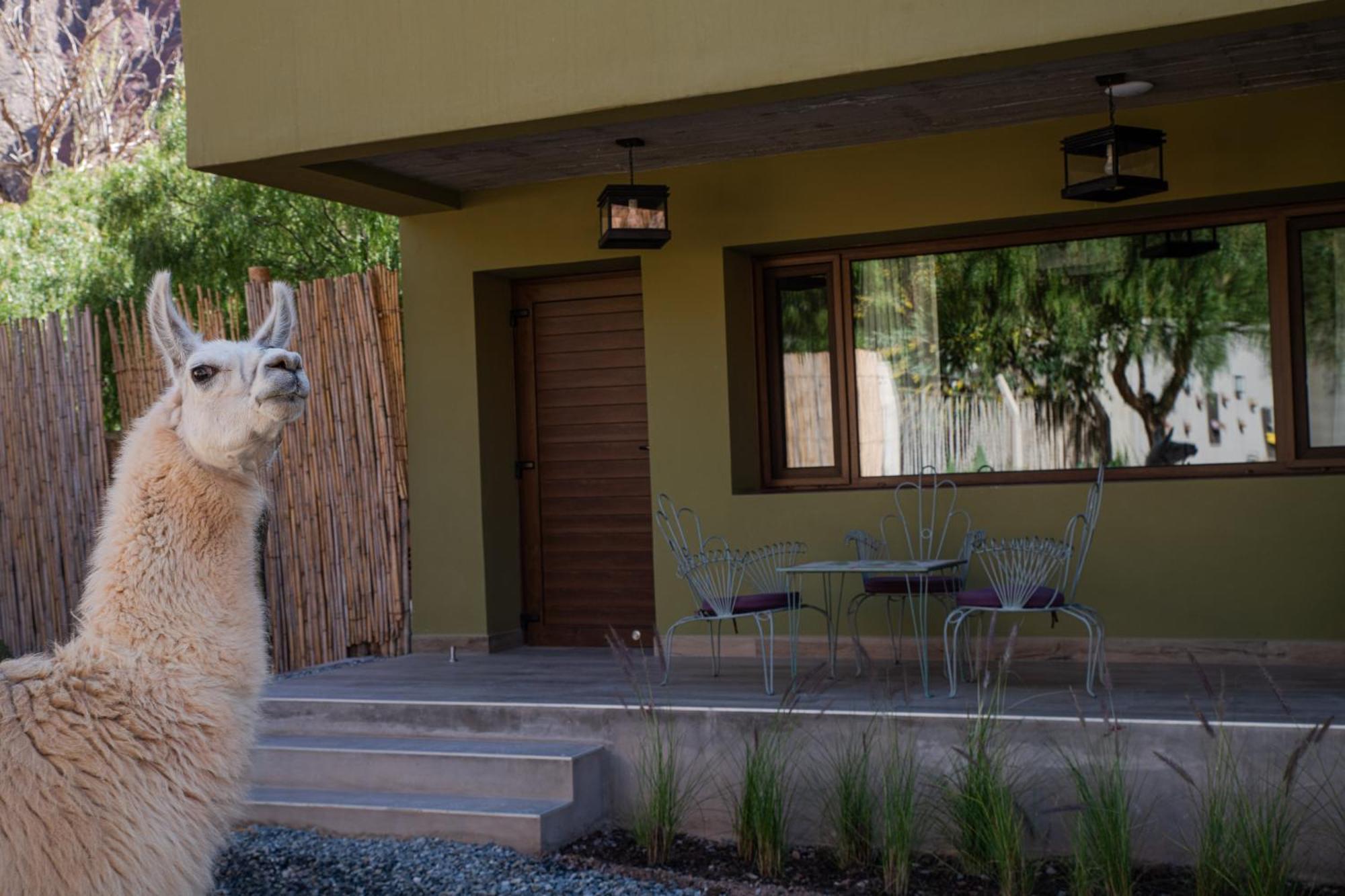 Bed and breakfast Posta De Purmamarca